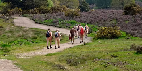 Budby South Forrest Group Walk  & Edwinstowe Swim 