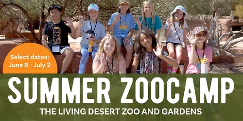 Summer ZooCamp at The Living Desert