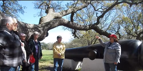 Walking Tour: Tree Tour of Fort Monroe - Seeing the Trees Through Bark and Wood