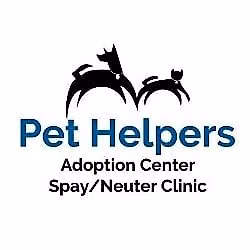 Volunteer Service Project - Pet Helpers