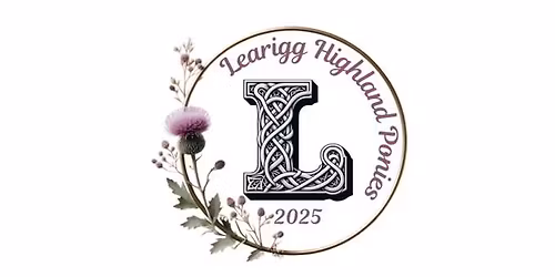 Learigg Highland Pony Ridden Finale