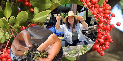 Plant Propagation Thursdays - Volunteer Nursery Event