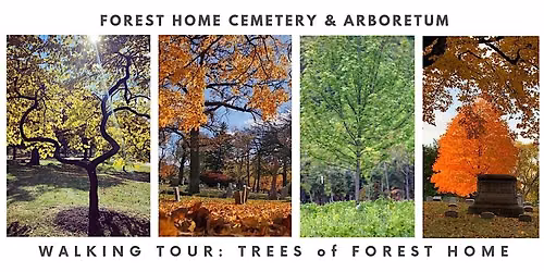 Walking tour: Trees of Forest Home