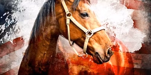 Veterans Therapeutic Horsemanship