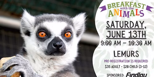 Breakfast with the Lemurs
