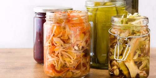 Introduction to Fermentation Workshop