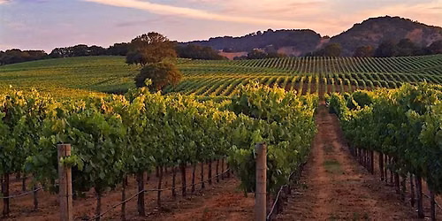 An Evening of Canada\u2019s Best Wines with David Lawrason