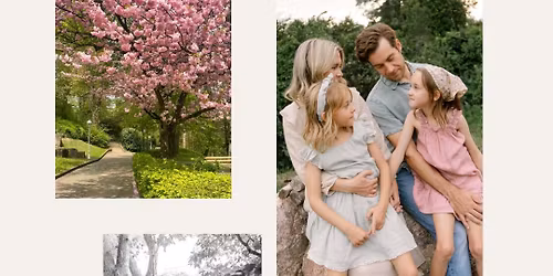 Cherry Blossom Mini Sessions