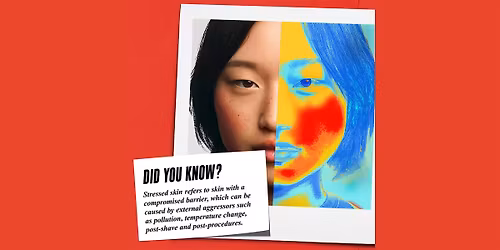 Kiehl's SOS: Save our Skin! (Berkeley)