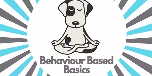 Behaviour Based Basics