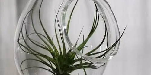 Glass Blowing - Plant Hanger Workshop - 1 Day Class