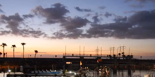 Gator Nights Everglades Eco Airboat Adventure