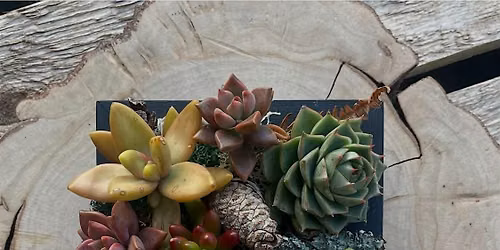 Living Art Workshop