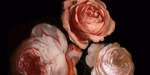 Rose Medicine- Tending The Resistance