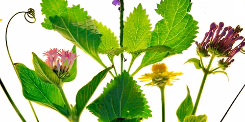 Lights, Cameras and Fun\u2026 November 2025 Photo Walkabout