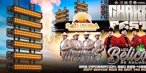 LOS ENCINOS DE SINALOA, LOS BELICOS DE CULIACAN & MAS