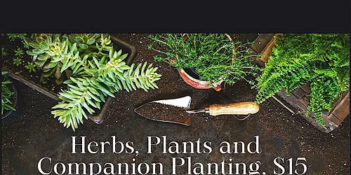 Herbs, Plants and Companion Planting