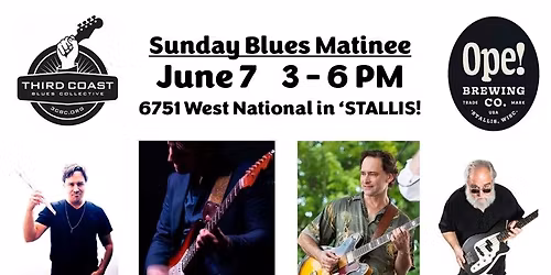 Third Coast Blues Collective with Johnny Burgin and Noah Wotherspoon