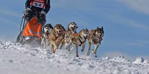 Pullman City Quest 2026