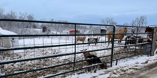 Christmas with Santa at The Ranch