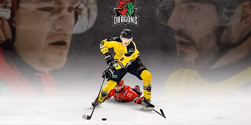 Widnes Wild vs Deeside Dragons Ice Hockey Game - Sun 29th March