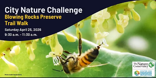 City Nature Challenge - Trail Walk