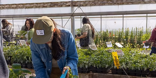 Annual Spring Plant Sale 
