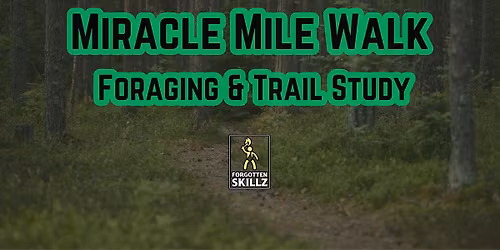 Sans Souci Miracle Mile Foraging & Trail Study Walk (Sayville)