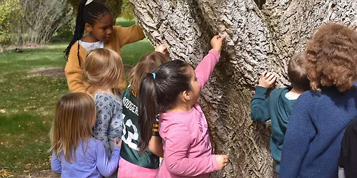 Family Nature Program: Patterns in Nature
