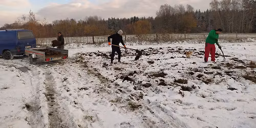 Dobro.brig\u00e1da v Zemi Kelt\u016f - Prosinec