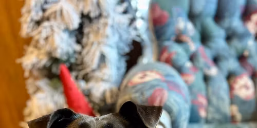 \u041a\u043e\u043b\u0435\u0434\u043d\u0430\u0442\u0430 \u043f\u0440\u0438\u043a\u0430\u0437\u043a\u0430 \u043d\u0430 \u0414\u0436\u0430\u0444