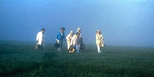 Strangers in Good Company \/\/ The Time Image