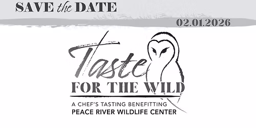 Taste for the Wild