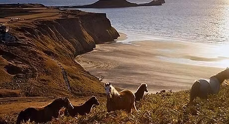 Sunnybanc Animal Feeds Welsh TREC Championships Gower