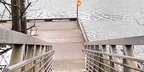 Winter Wander, Memorial Park Wilsonville \u2014 Columbia River Orienteering Club