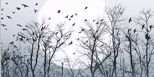 October Literary Salon - Spooky Stories