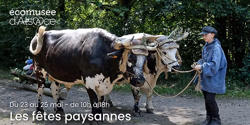 Les f\u00eates paysannes