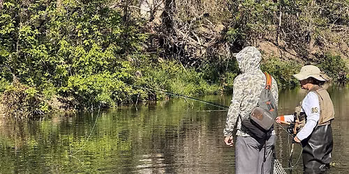 Fly Fishing Film Tour (F3T)