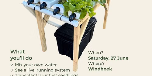 Hydroponic Bootcamp