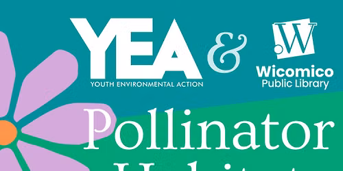 Pollinator Meadow Celebration