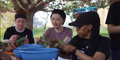 Herbal Medicine Workshop