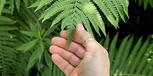 Sensory Stroll: Awaken Your Senses