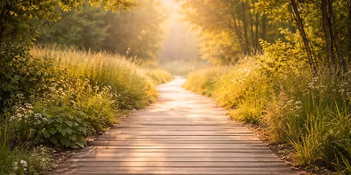 After Divorce: Rebuilding Life with Purpose