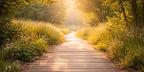 After Divorce: Rebuilding Life with Purpose