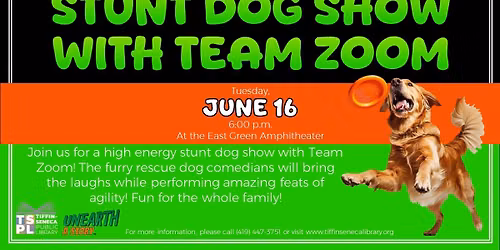 Stunt Dog Show with Team Zoom