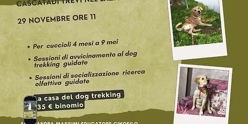 mini dog trekking per cuccioli cascata di Trevi nel lazio 