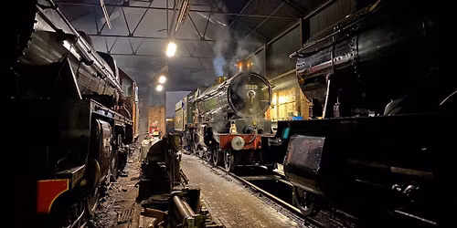 Guided Tour of Tyseley Depot