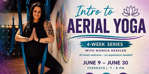 Intro to Aerial Yoga 4 Week Series