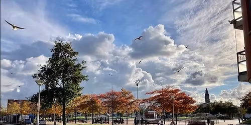 Transvaal Hobbema Braderie 