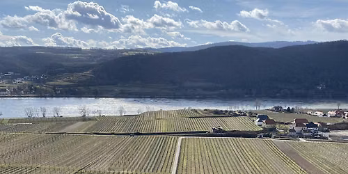 The Many Faces of Riesling: Austria, Alsace & Germany